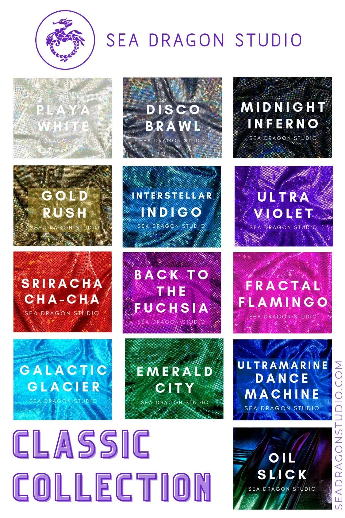 Holographic Hoodie | 13 Colors