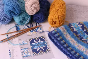 LET'S STEEK! STEEKING CLASS WITH WHITNEY TERRELL AT KnittyGrittyYarnGirl