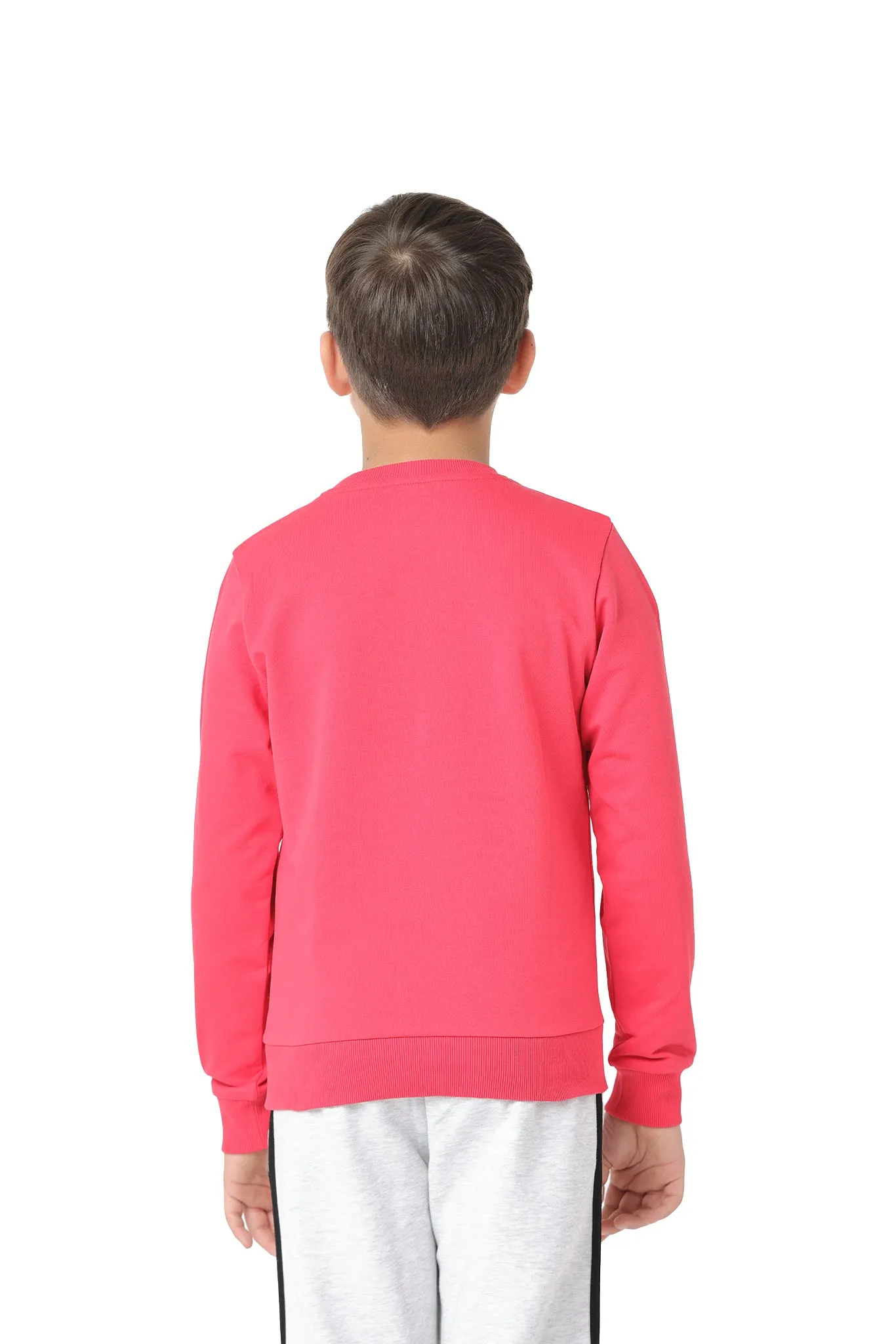 Long Sleeve Kids Boys Printed Sweatshirt Made of Pure Cotton Fabric