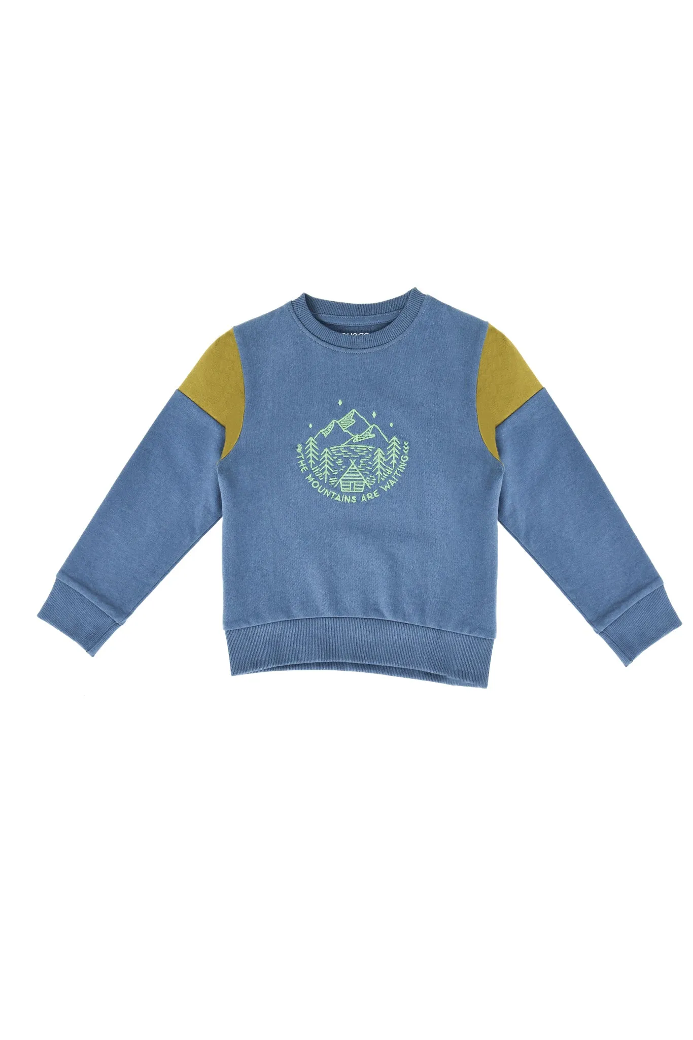 Long Sleeve Toddler Boys Sweatshirt Made of Blended Cotton Fabric
