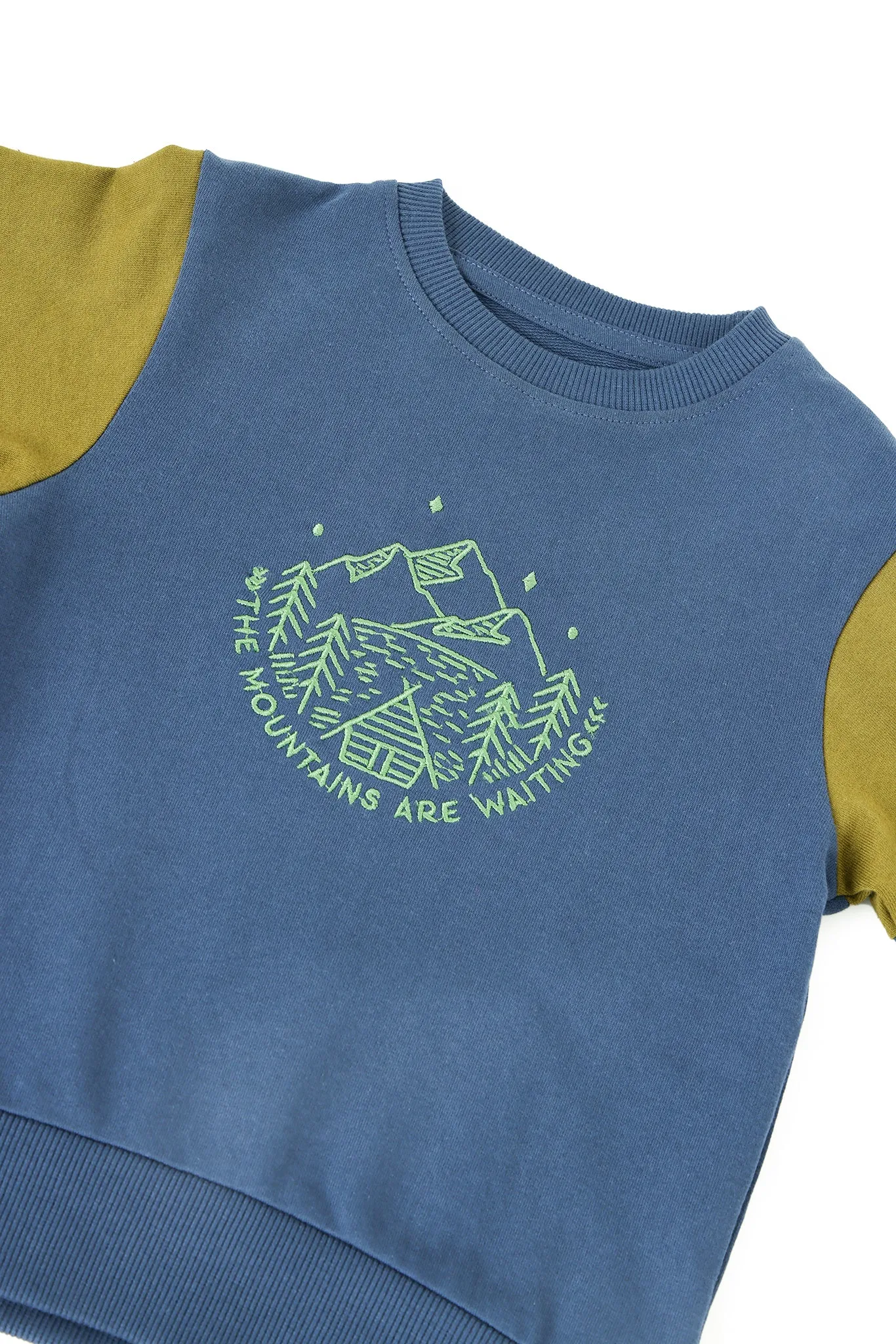 Long Sleeve Toddler Boys Sweatshirt Made of Blended Cotton Fabric