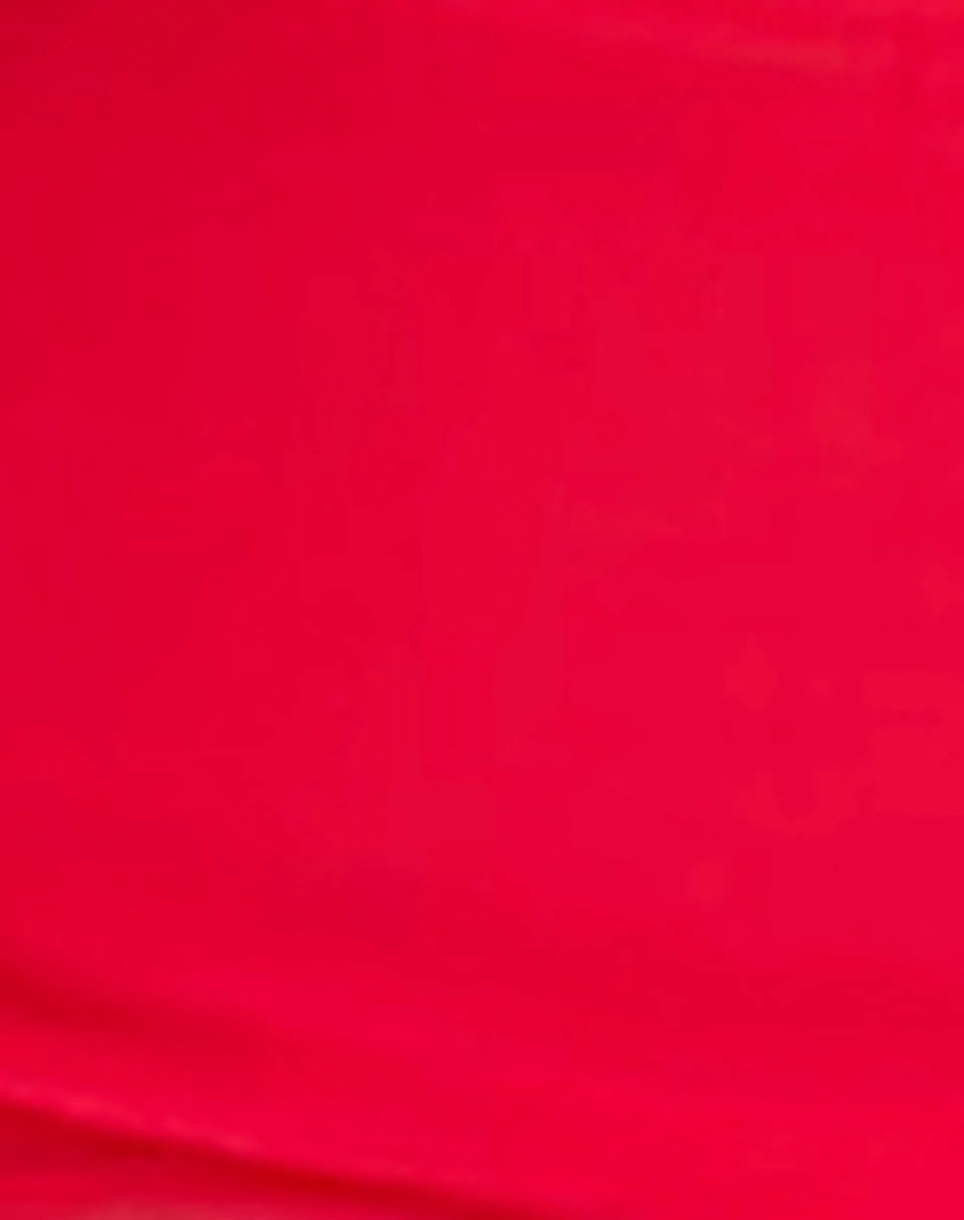 Yargo Mesh Sarong in Scarlet Red